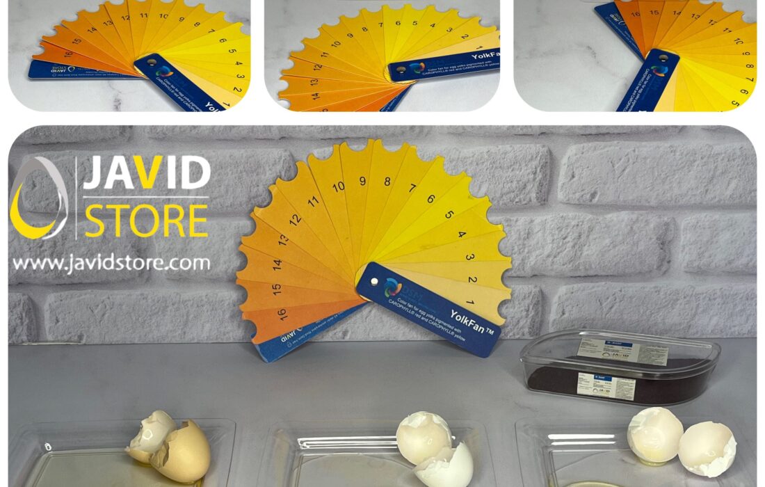 نحوه به دست آوردن امتیاز مورد نیاز DSM YolkFan™ با CAROPHYLL®