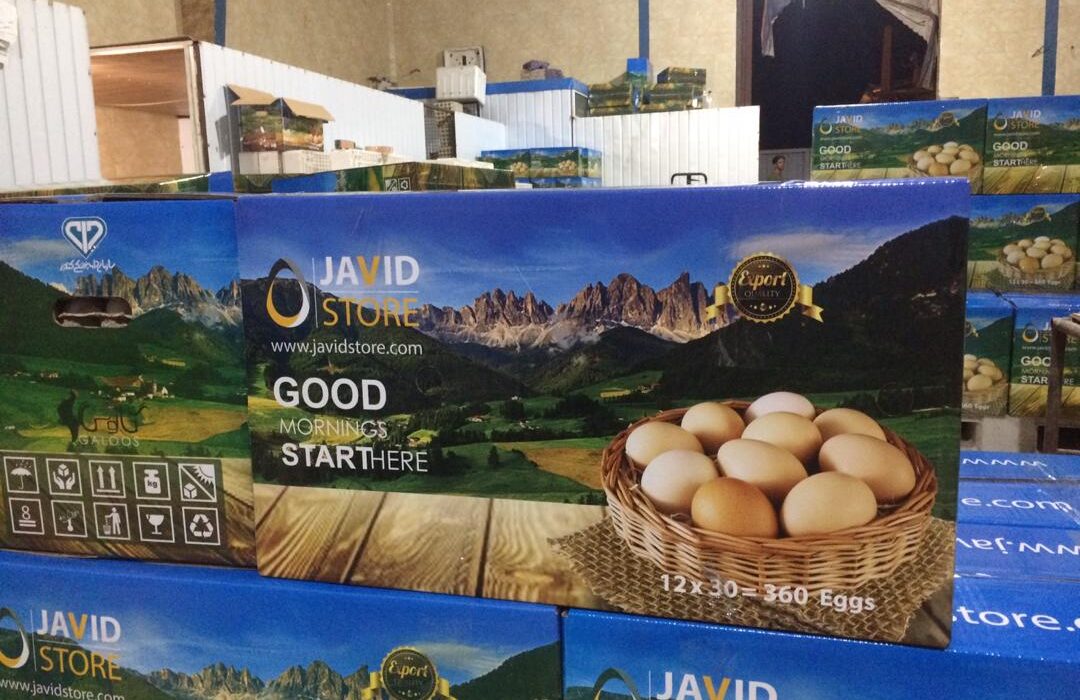 شرایط صادرات تخم مرغ خوراکی