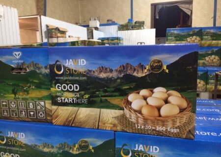 شرایط صادرات تخم مرغ خوراکی