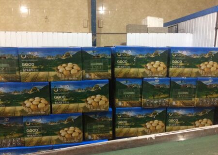 آمادگی برای صادرات مرغ و تخم مرغ از مرز پرویزخان