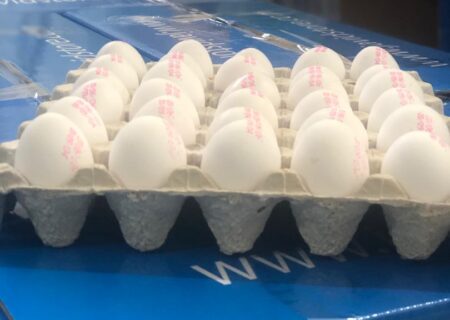 مازاد ۲۵۰ تنی تخم مرغ در روز