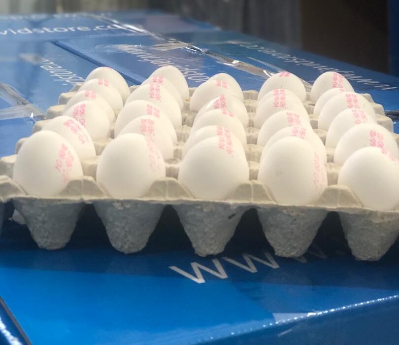 مازاد ۲۵۰ تنی تخم مرغ در روز