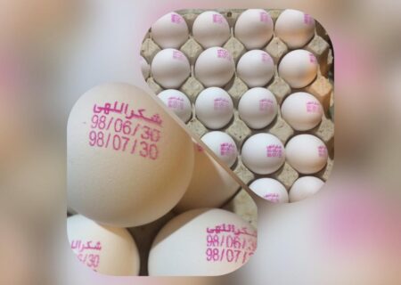 اعلام نرخ جدید تخم مرغ هفته آینده