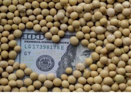 تخصیص و تامین ارز تمام اولویت های اعلامی وزارت جهاد کشاورزی انجام شد.