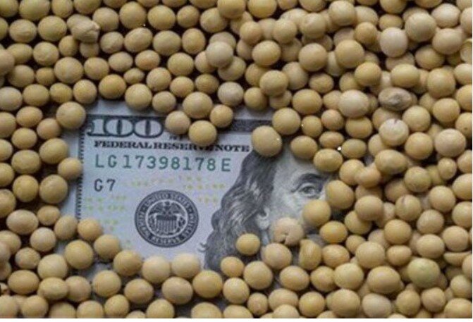 تخصیص و تامین ارز تمام اولویت های اعلامی وزارت جهاد کشاورزی انجام شد.