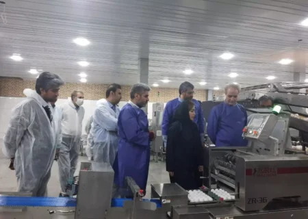 افتتاح طرح توسعه زنجیره تخم‌مرغ استان تهران در فشافویه شهرری