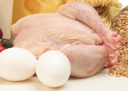 وضعیت قرمز قیمت تولید محصول در مرغداری‌های اردبیل