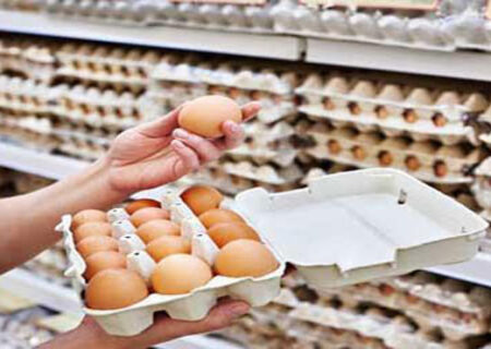 تولید تخم مرغ ۷ درصد افزایش یافت.