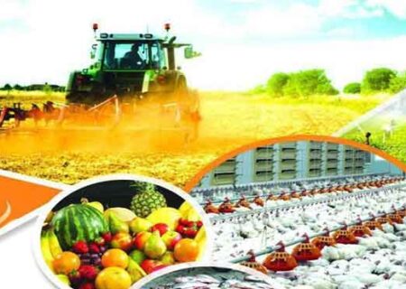 ضرورت رفع وابستگی بیش از 80 درصدی به واردات در تامین نهاده‌های دامی