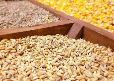 بیش از ۸.۵ میلیارد دلار ارز برای واردات نهاده از کشور خارج می‌شود.