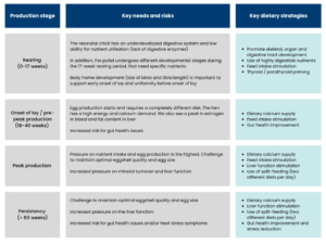 سود بیشتر با افزایش سیکل تولید مرغ تخمگذار