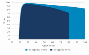 سود بیشتر با افزایش سیکل تولید مرغ تخمگذار