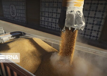 امکان رصد توزیع مویرگی نهاده‌های دامی در قم فراهم شد.