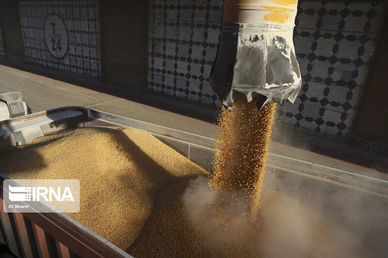 امکان رصد توزیع مویرگی نهادههای دامی در قم فراهم شد.