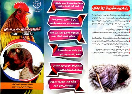 علائم و راه های پیشگیری از آنفلوآنزای فوق حاد پرندگان