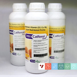 بهبود کیفیت پوسته تخم مرغ