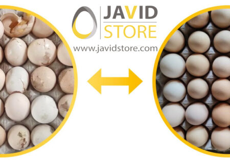بهبود کیفیت پوسته تخم مرغ