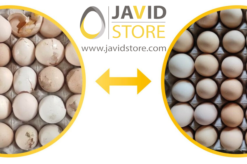 بهبود کیفیت پوسته تخم مرغ