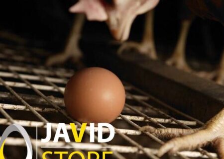 رویکردهای عملی برای کیفیت مطلوب تخم مرغ