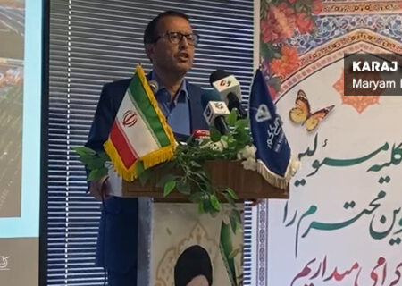 خودکفایی ایران در تولید گلوتن / ذرت پایه اصلی تولید خوراک دام، طیور و آبزیان است