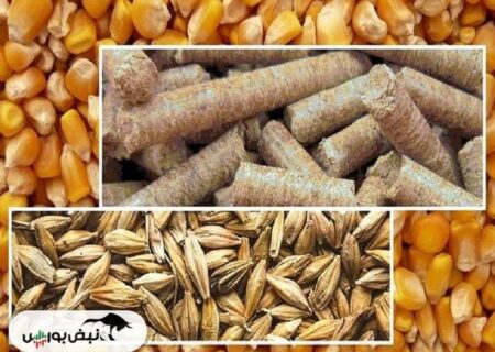 میزان واردات نهاده‌های دامی چقدر است؟