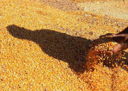 گوشت و مرغ مردم در گرو نهاده دامی