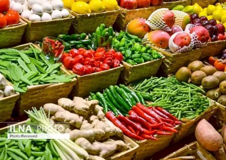 وابستگی ۸۰ درصدی کشور به واردات نهاده / خام‌فروشی محصولات کشاورزی ایران در بازارهای خارجی