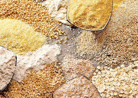 ضریب وابستگی کشور به نهاده‌های دامی چقدر است؟