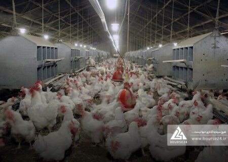 بیشترین فروش «زماهان» از چه محلی است؟