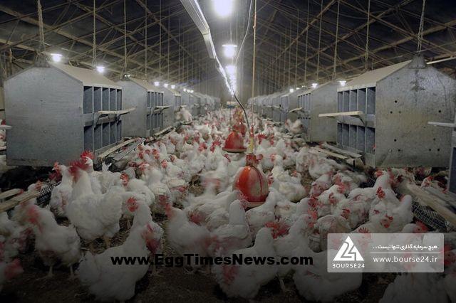 بیشترین فروش «زماهان» از چه محلی است؟