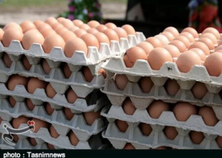 کاهش بیش از ۵۰ درصدی قیمت تخم‌مرغ در یزد