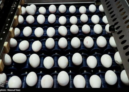 لرستانی‌ها ماهانه ۶۰۰ تن تخم‌مرغ مصرف می‌کنند