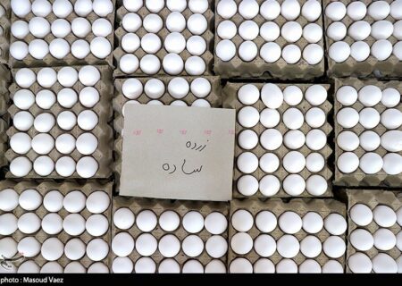 قیمت تخم مرغ سقوط کرد