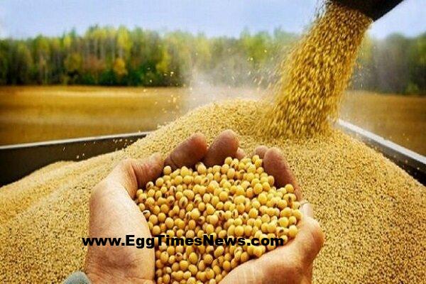 تهدید امنیت ملی در غفلت از فناوری‌های نوین بازیافت