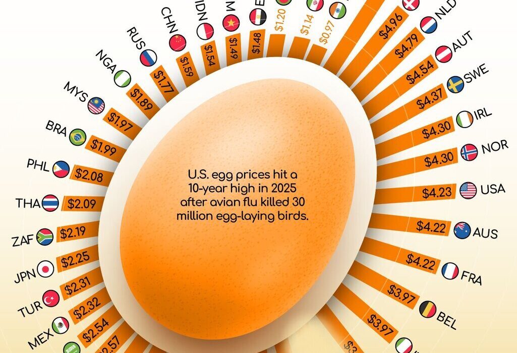 ایرانی‌ها کمترین و سوئیسی‌ها بیشترین مبلغ را برای تخم‌مرغ می‌پردازند.