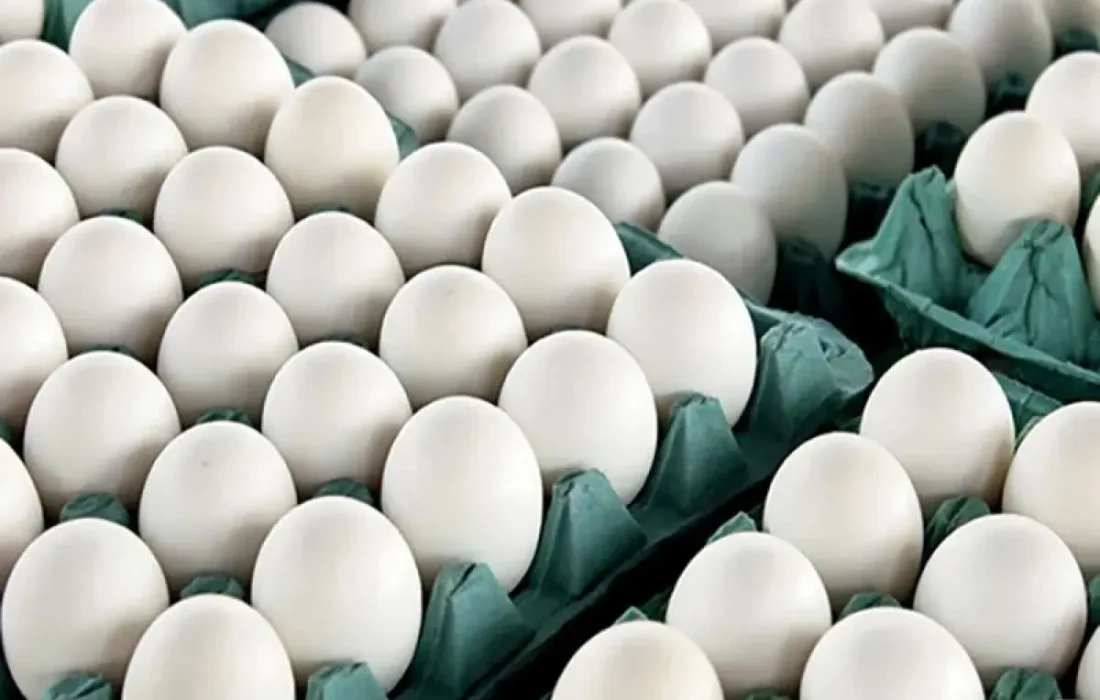 قیمت تخممرغ؛ از وعده حمایت تا بازاری که همچنان ملتهب است.