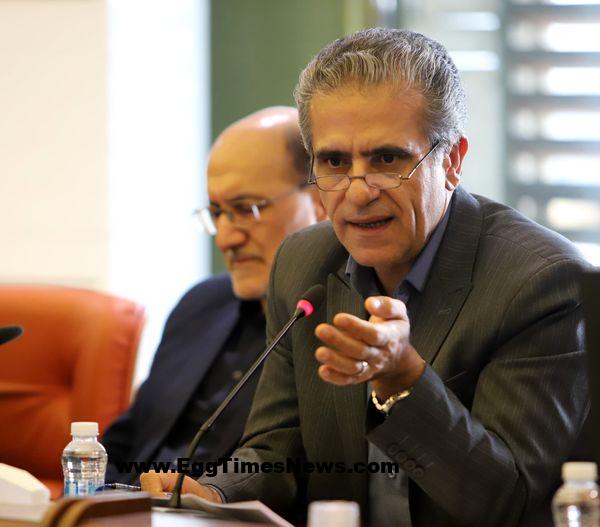 ظرفیت بلااستفاده ۷۰ تنی در واحدهای فرآوری تخممرغ