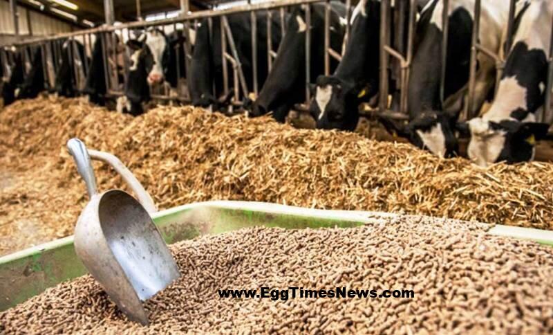 ۹ ماه بلاتکلیفی ارزی نهادههای دامی؛ آقای رئیسجمهور، فکری کنید.