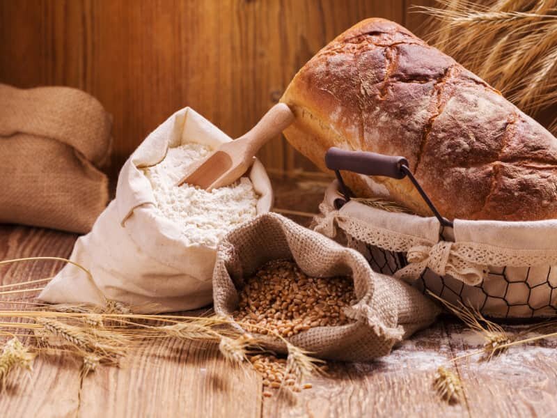 خرید گندم کیفی باید در دستور کار قرار گیرد