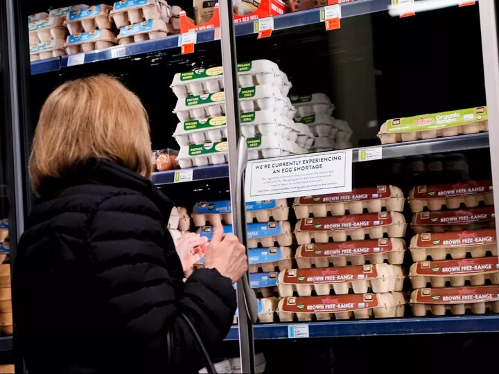 افزایش قیمت تخم مرغ در آمریکا؛ بار ۴۰ هزار دلاری در پنسیلوانیا به سرقت رفت افزایش قیمت تخم مرغ در آمریکا؛ بار ۴۰ هزار دلاری در پنسیلوانیا به سرقت رفت