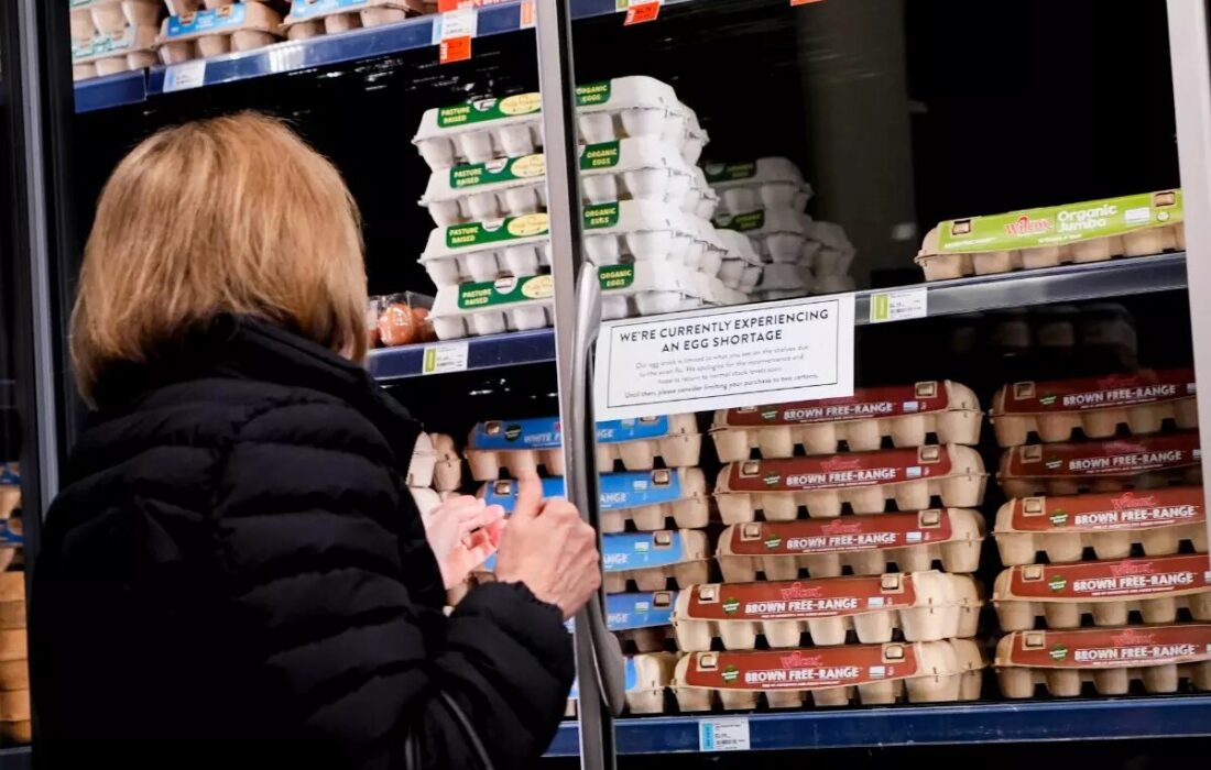 افزایش قیمت تخم مرغ در آمریکا؛ بار ۴۰ هزار دلاری در پنسیلوانیا به سرقت رفت