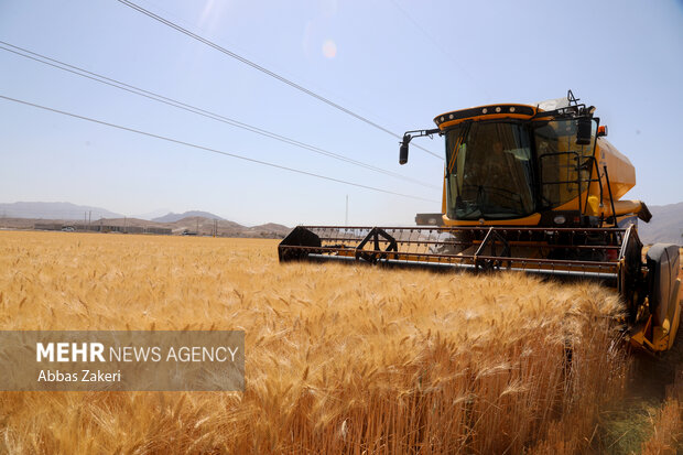 تدوین شیوهنامه نظارتی مجوزهای کشاورزی سمنان تا ۱۰ روز آینده تدوین شیوهنامه نظارتی مجوزهای کشاورزی سمنان تا ۱۰ روز آینده
