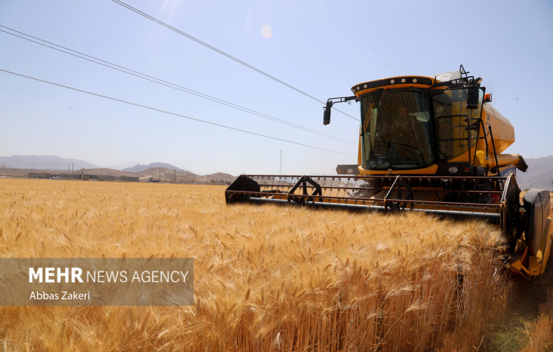 تدوین شیوهنامه نظارتی مجوزهای کشاورزی سمنان تا ۱۰ روز آینده