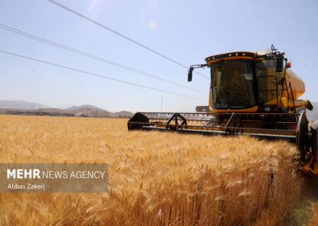 تدوین شیوه‌نامه نظارتی مجوزهای کشاورزی سمنان تا ۱۰ روز آینده