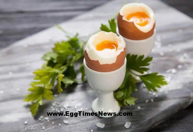 تخممرغ خام یا نیمپز مفید است؟