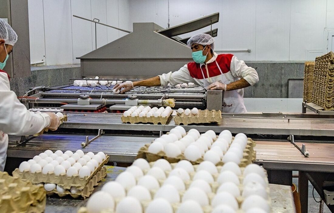 ایران و عمان در زمینه فرآوردههای پروتئینی همکاری میکنند.