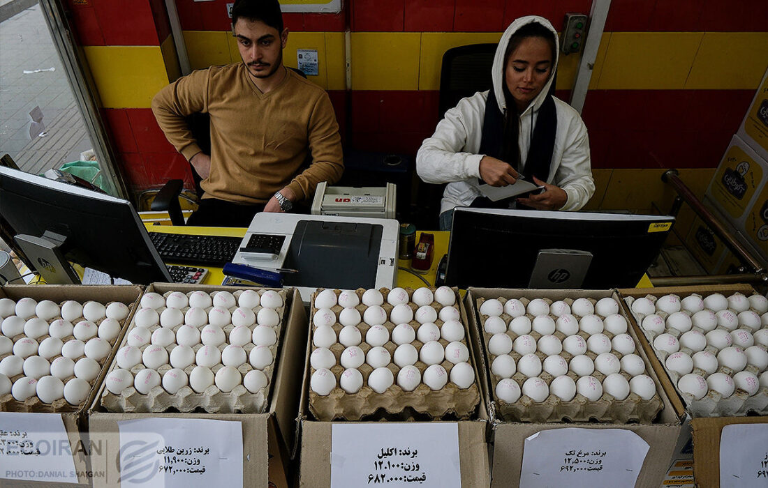 قیمت تخم مرغ نصف شد/ هشدار درباره افزایش قیمت در نیمه دوم سال