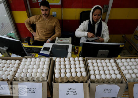 قیمت تخم مرغ نصف شد/ هشدار درباره افزایش قیمت در نیمه دوم سال