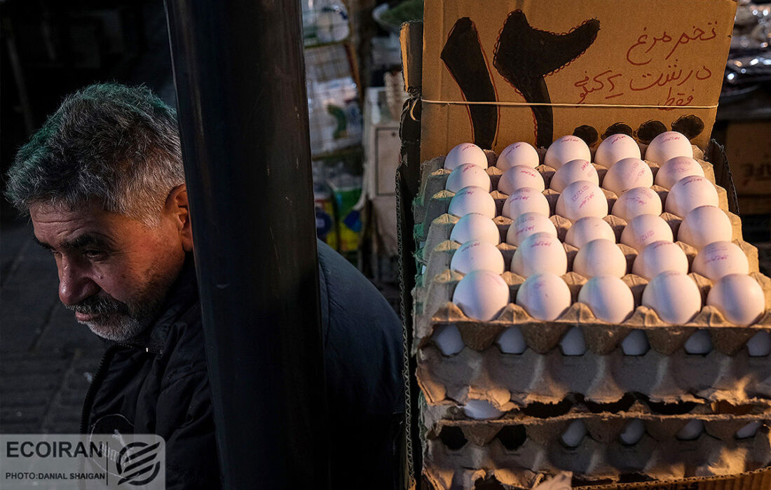 با حذف واسطه‌ها صورت گرفت: ثبات قیمت تخم مرغ تا پایان ماه رمضان