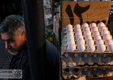 با حذف واسطه‌ها صورت گرفت: ثبات قیمت تخم مرغ تا پایان ماه رمضان